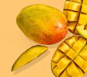 Image of Tropical Mango