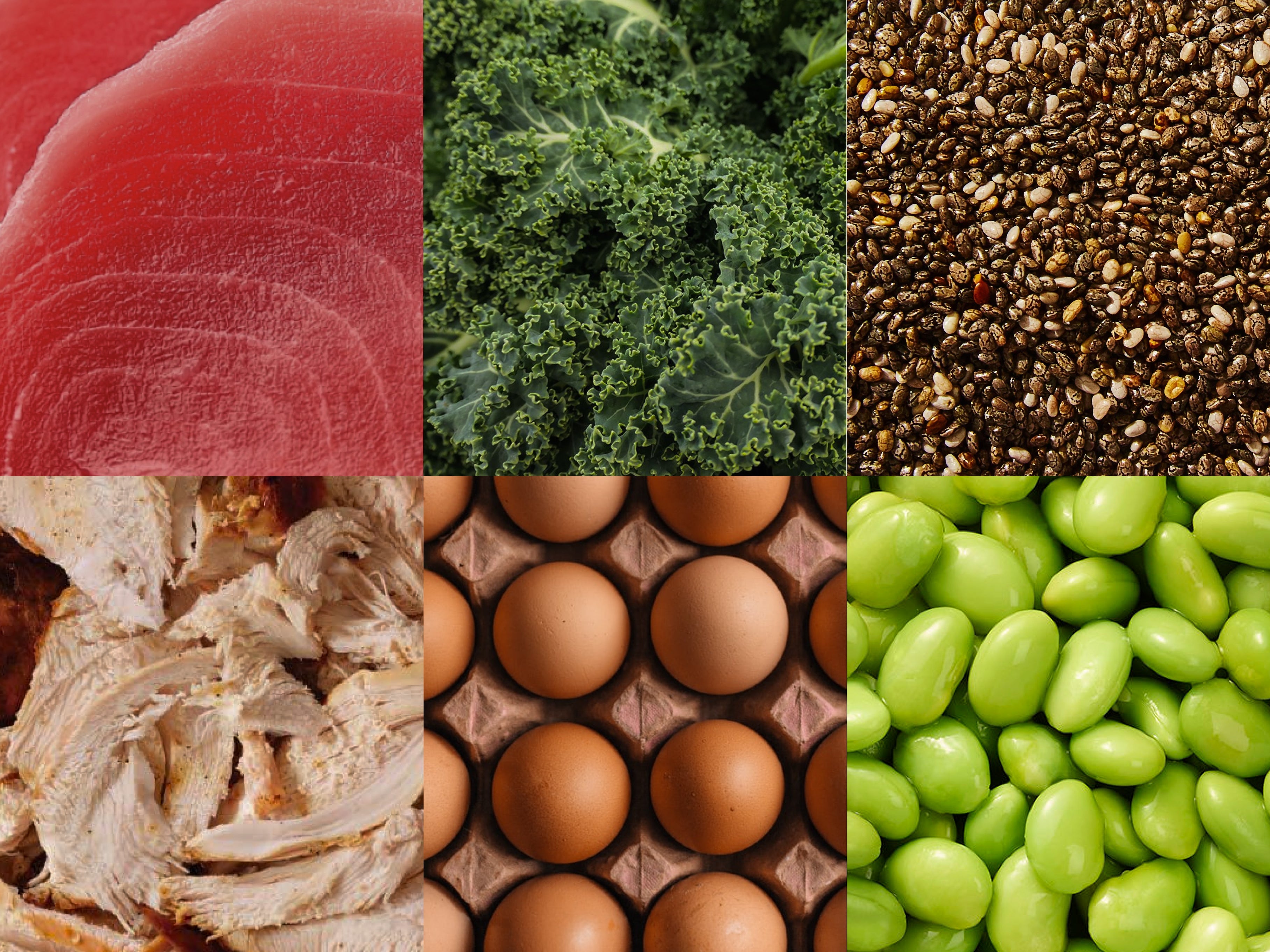 Incomplete Protien Examples Complete vs. Incomplete Proteins: What’s the Difference? – Gainful