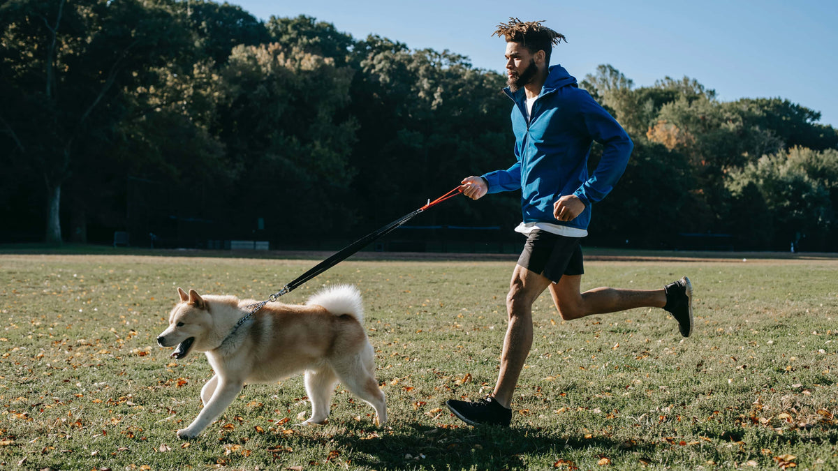 Protein absorption rate chart - Ask an RD