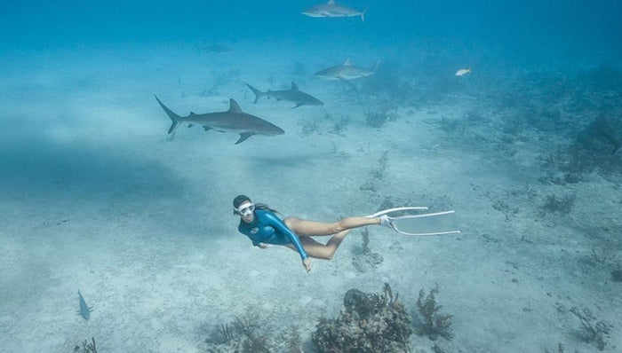 Stick With It: Interview 2: Steph Schuldt