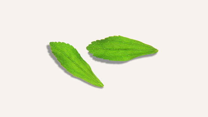 What is Stevia Made from?