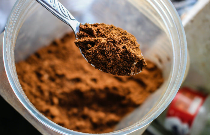 Whey Protein vs Plant Protein: What's the Difference?