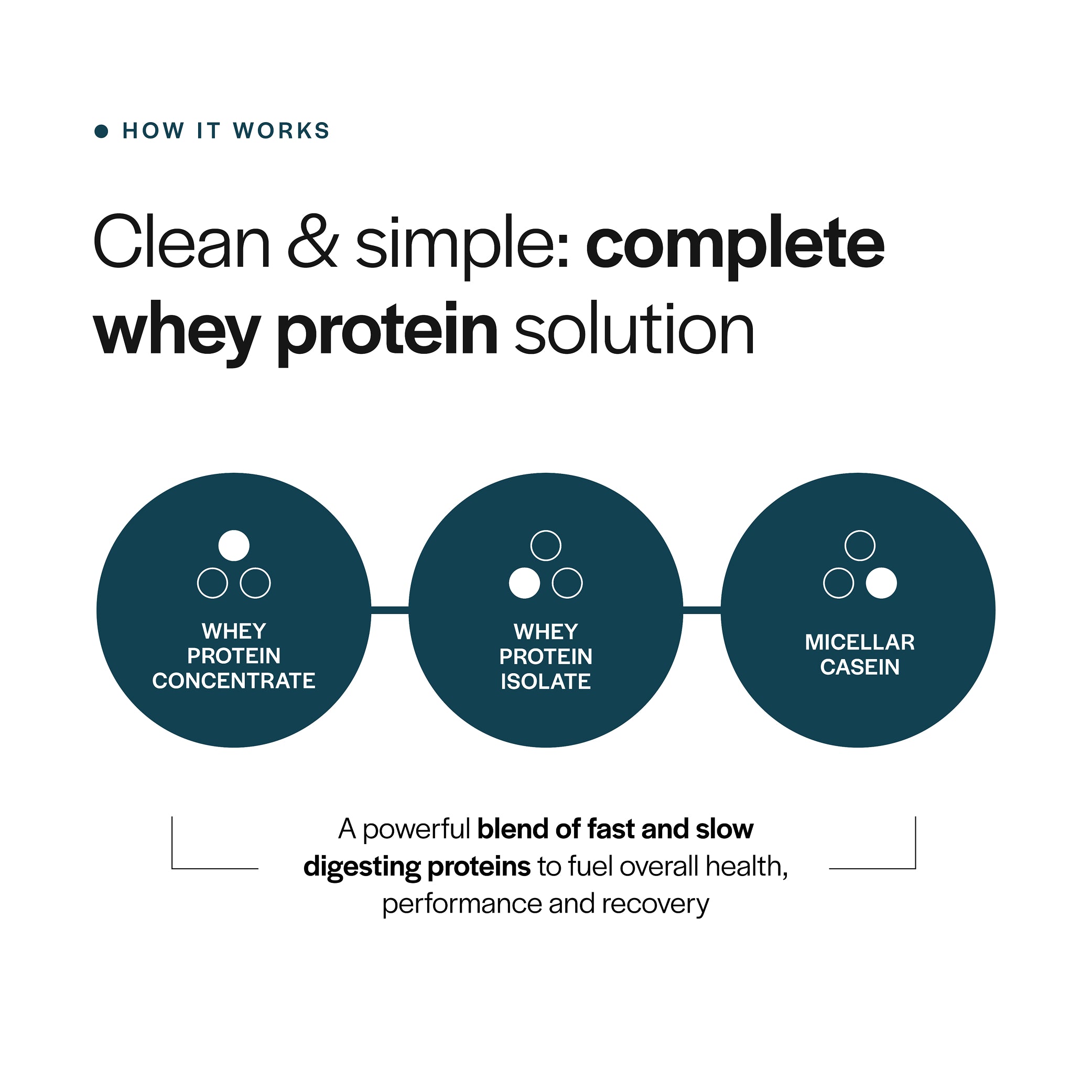 Everyday Whey Protein