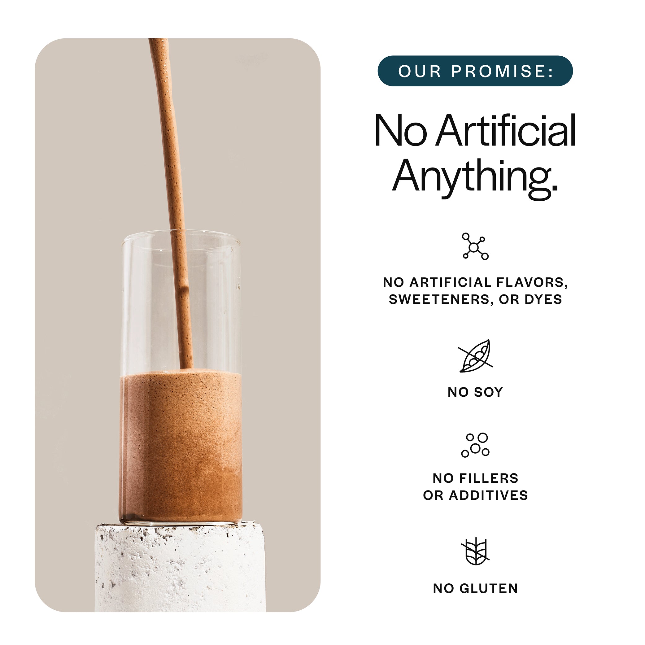 Everyday Whey Protein