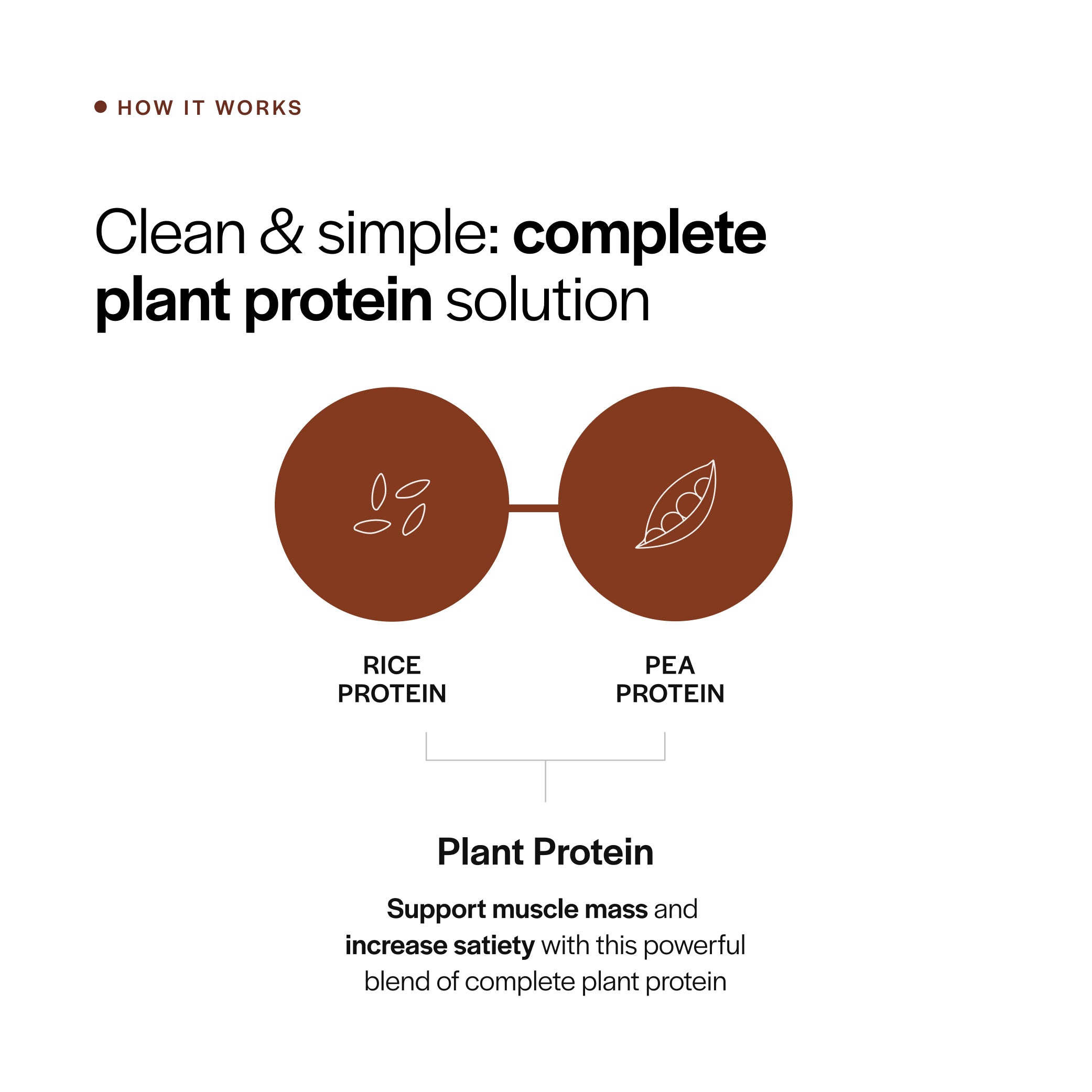 Everyday Plant Protein