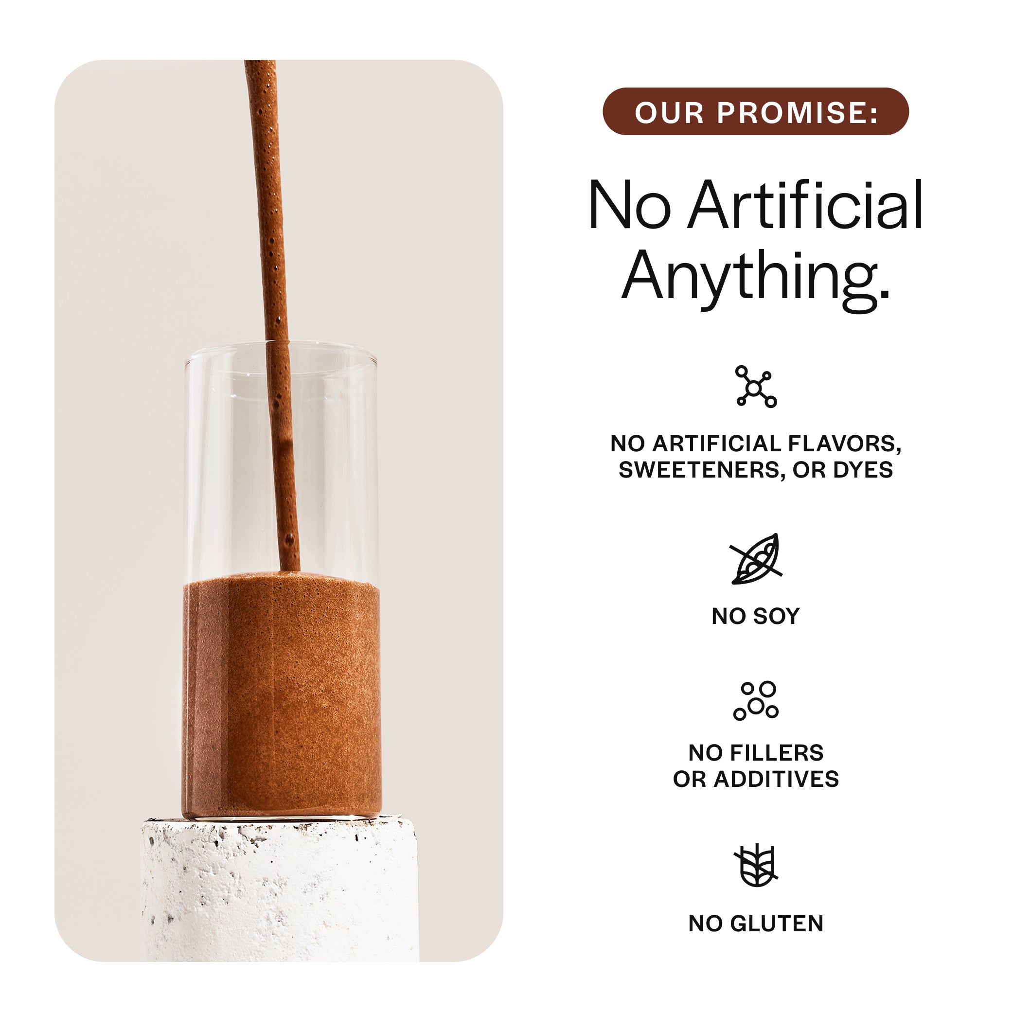 Everyday Plant Protein