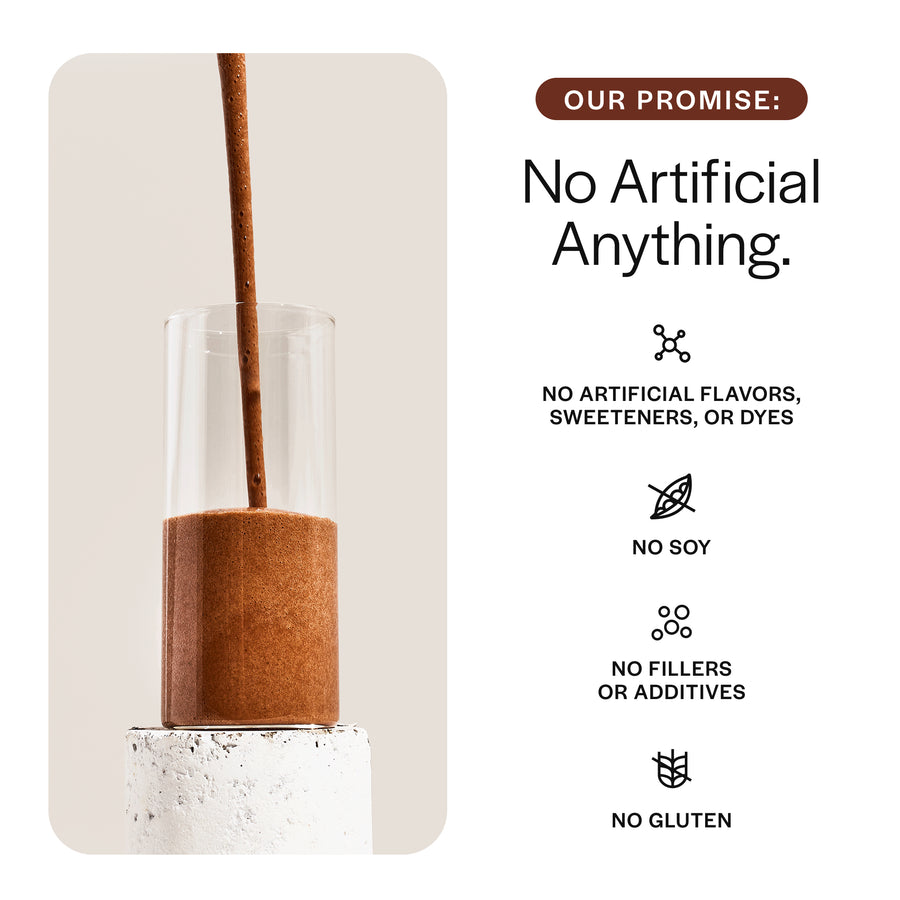 Everyday Plant Protein