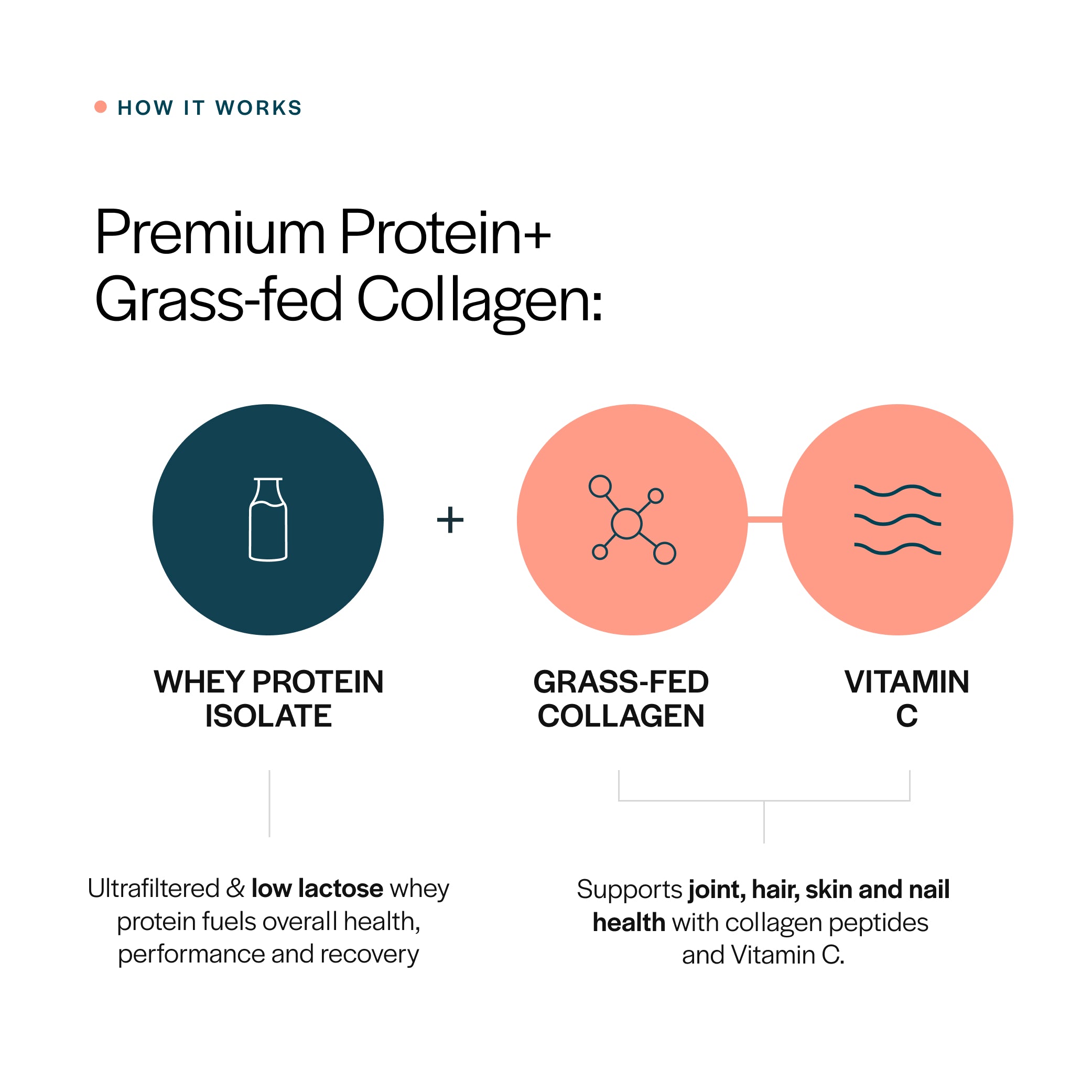 Collagen Whey Protein