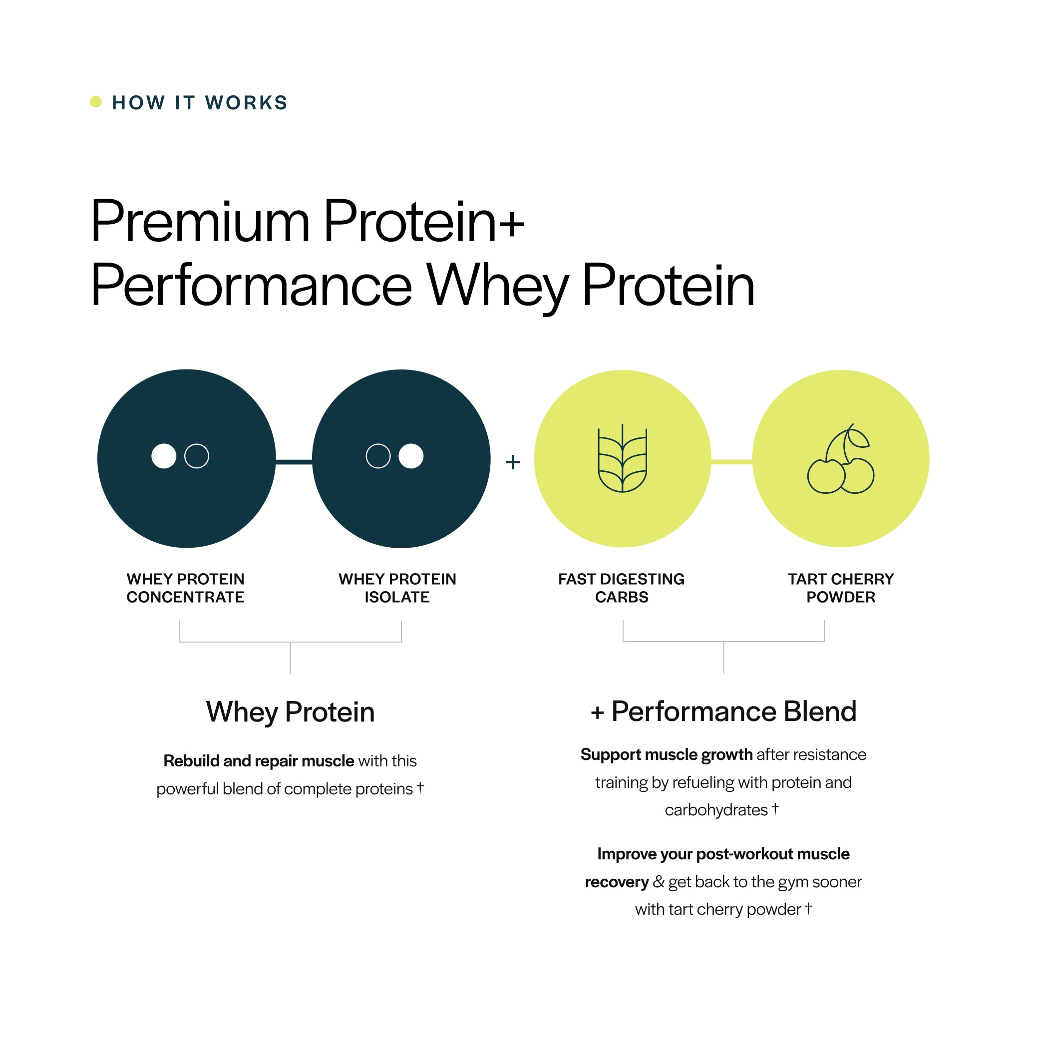 Performance Whey Protein