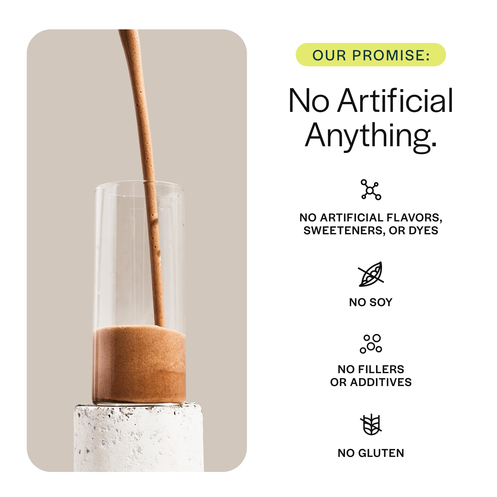 Performance Whey Protein